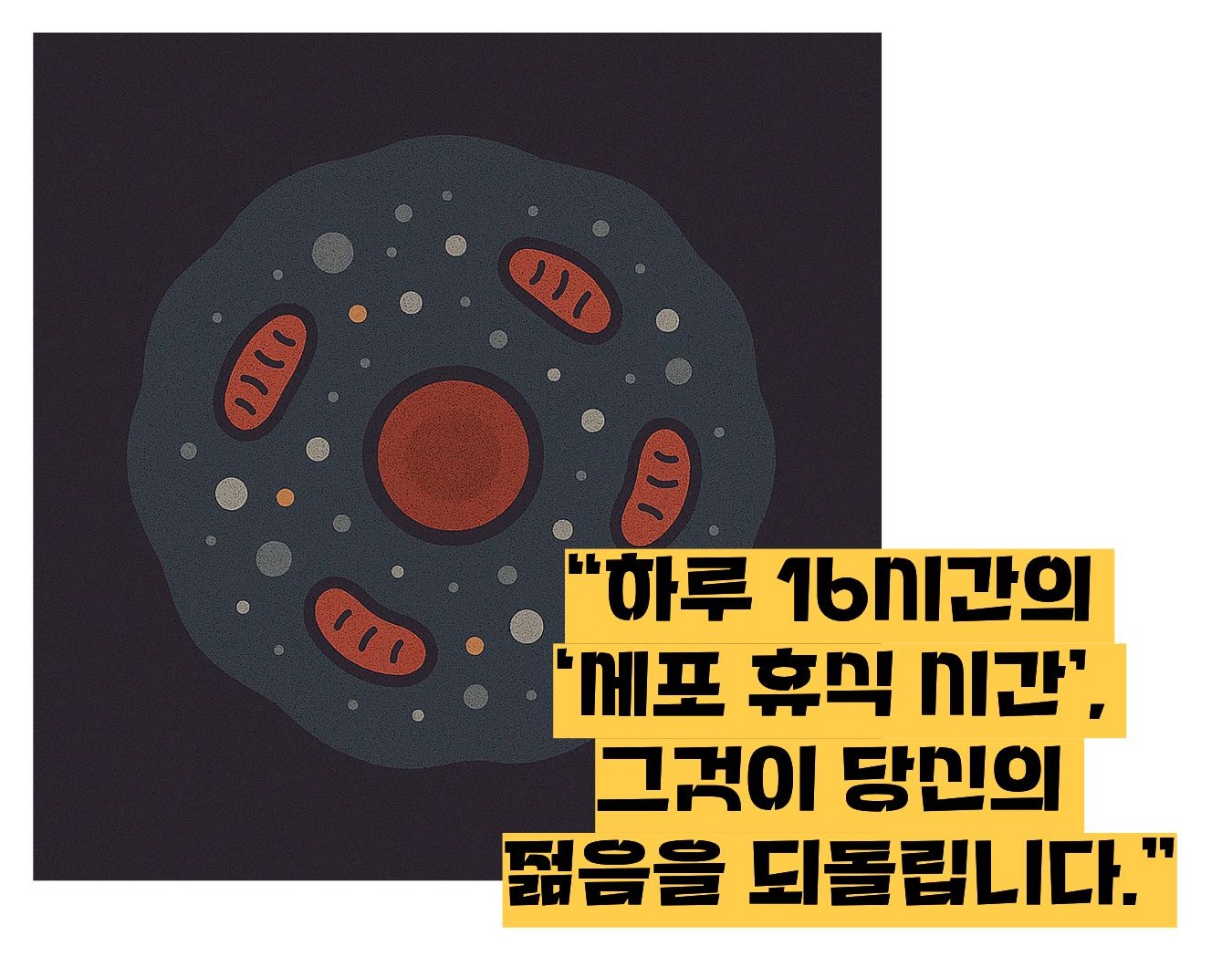 오토파지 뜻