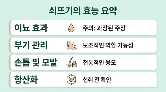 쇠뜨기 효능 요약표 이미지