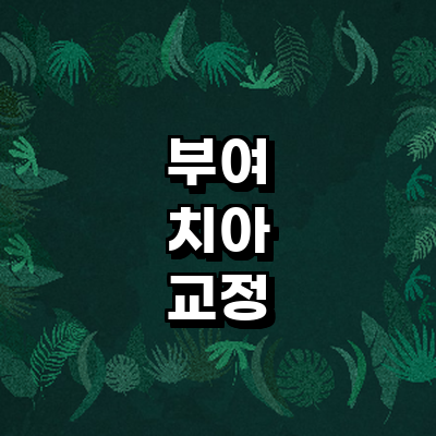 부여군 교정 치과