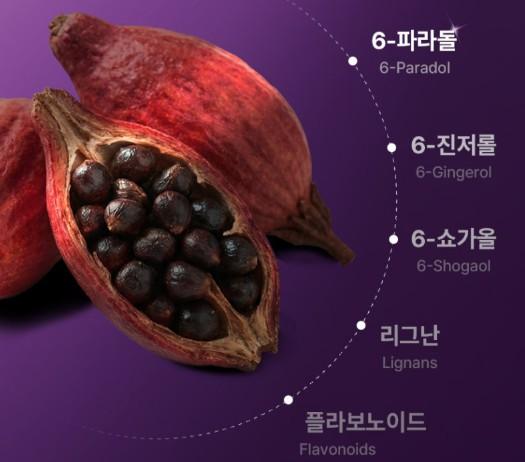 파라다이스 그레인 효능