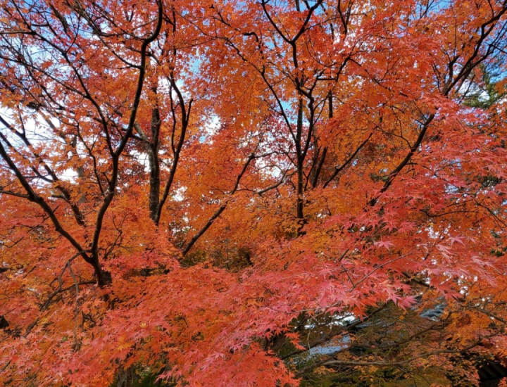 북서울꿈숲