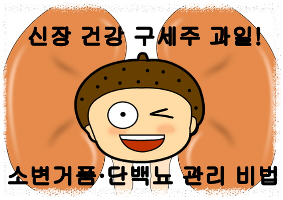 신장 건강 구세주 과일 수박-소변거품,단백뇨 관리비법