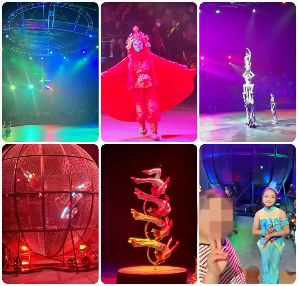 기억에 남는 제주 아트서커스 공연 사진 모음 입니다.