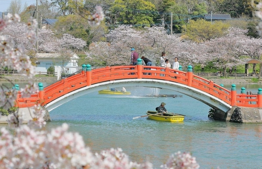나카마시 하부공원 – 작지만 정겨운 지역 벚꽃 명소