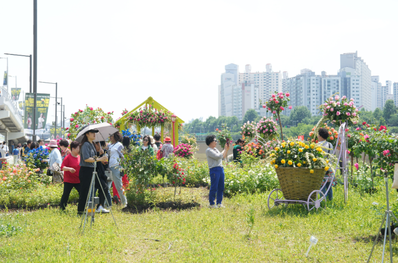 서울 장미축제 일정
