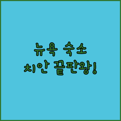 여자 혼자 뉴욕 여행 숙소 추천 페어..