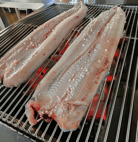 6시 내고향 함평 민물장어 전국택배 주문 판매처 월천수산