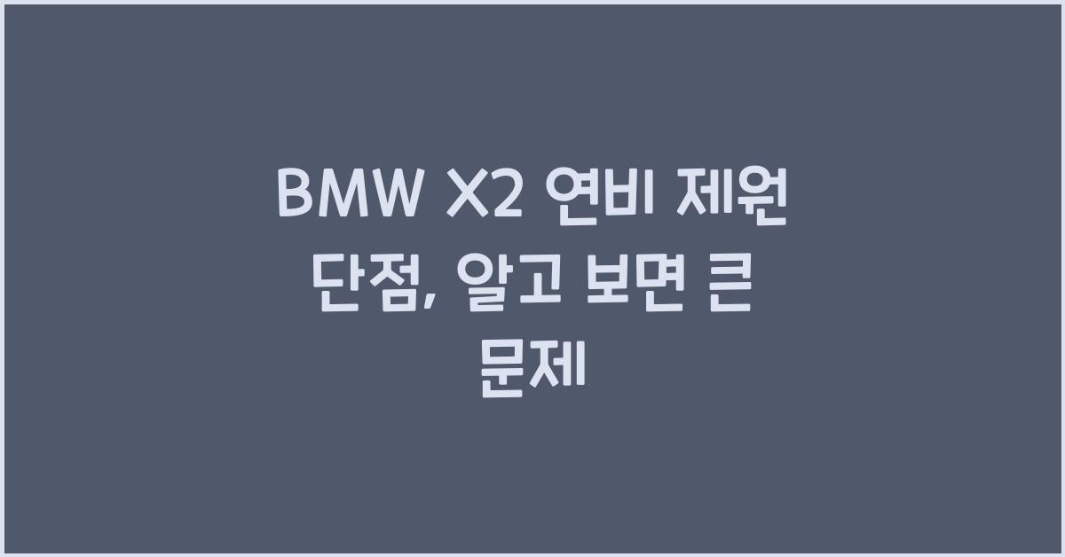 BMW X2 연비 제원 단점