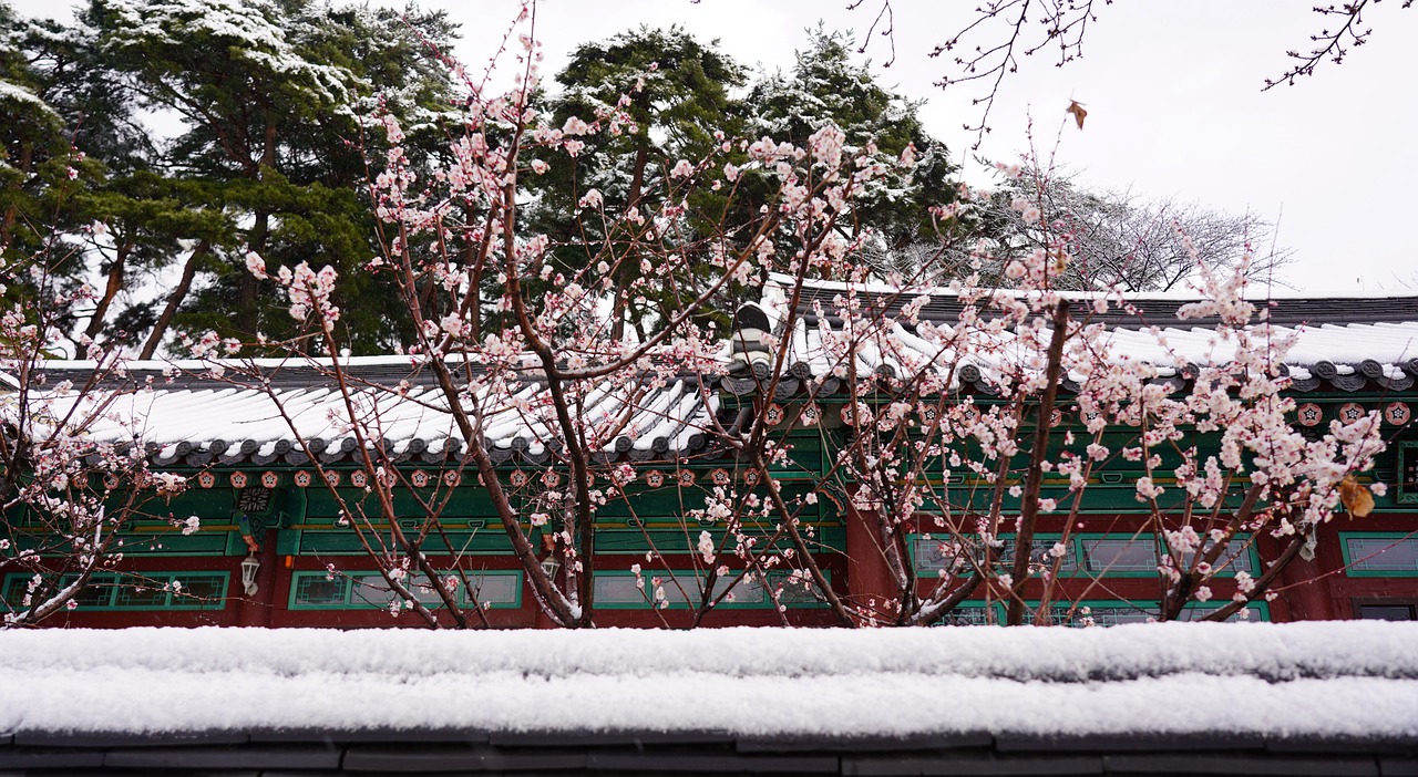 겨울 전주 한옥