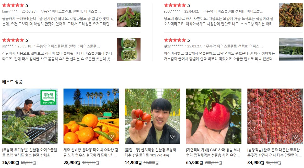 생방송 오늘 아침 아이스플랜트 얼음채소 주문 방법(암 예방 확률 2배) 관련사진