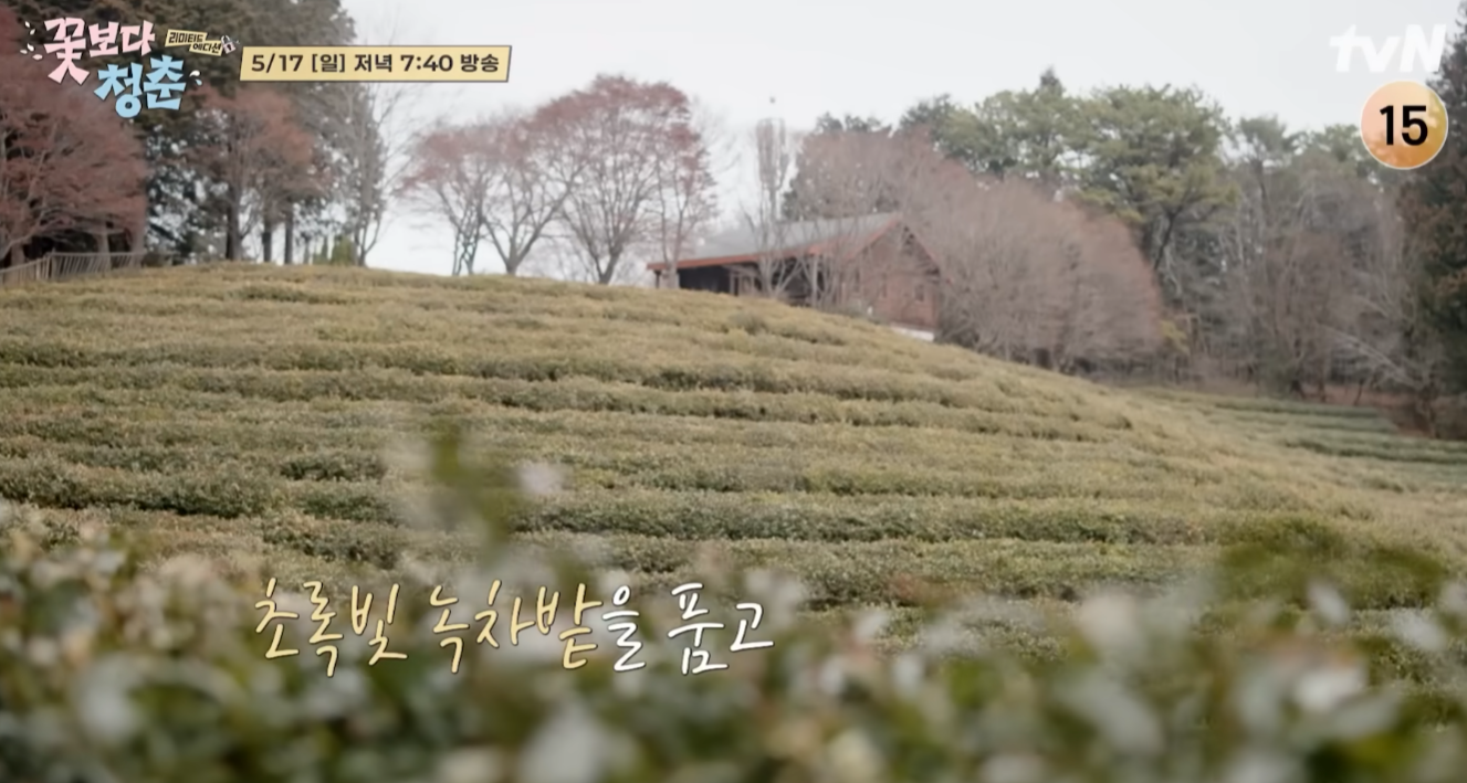 꽃보다 청춘 리미티드 에디션
