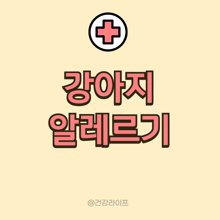 강아지 알레르기