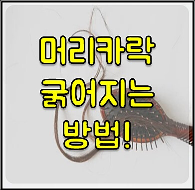 머리카락 굵어지기 1