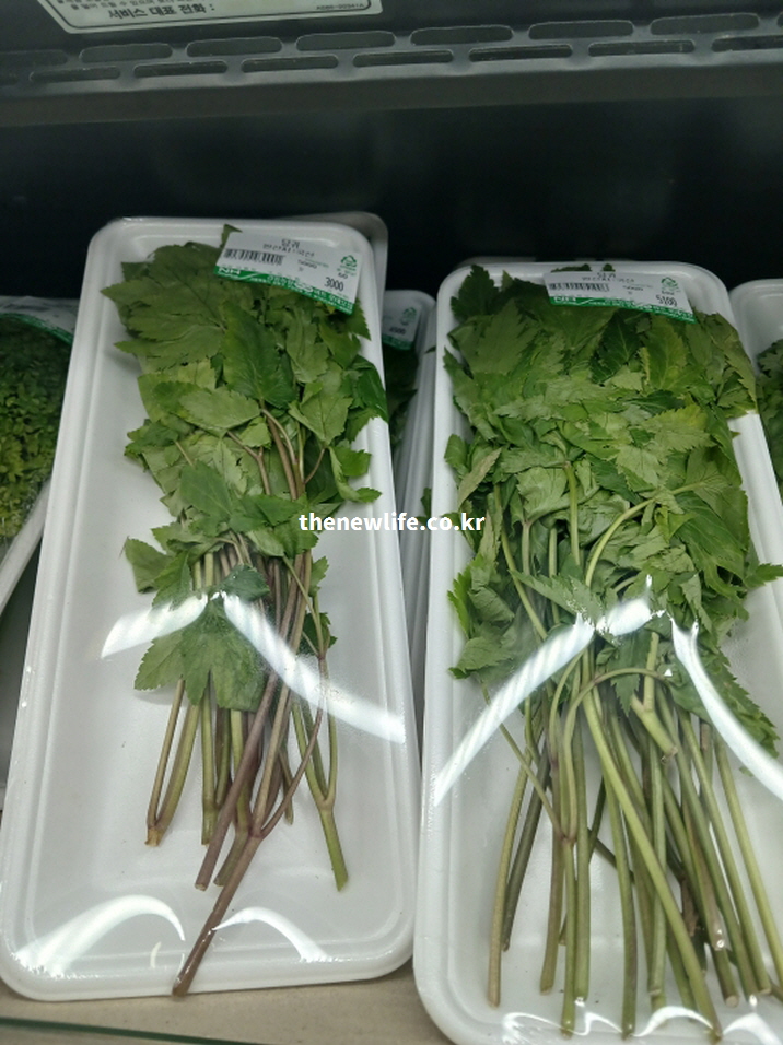 마트에서 포장되어 판매 중인 당귀잎. 트레이에 담긴 잎과 줄기의 실제 진열 모습