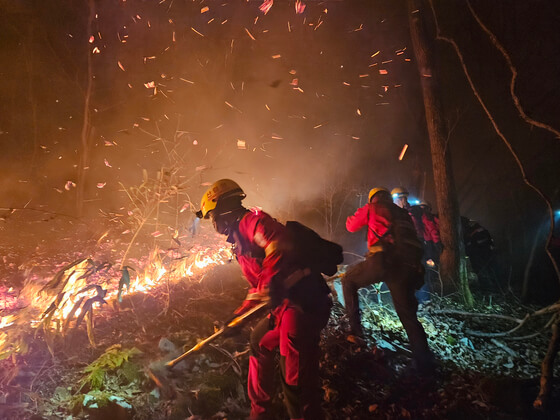계속되는 강풍 속 산청 산불&amp;#44; 대원 2명 사망 2명 실종&hellip;