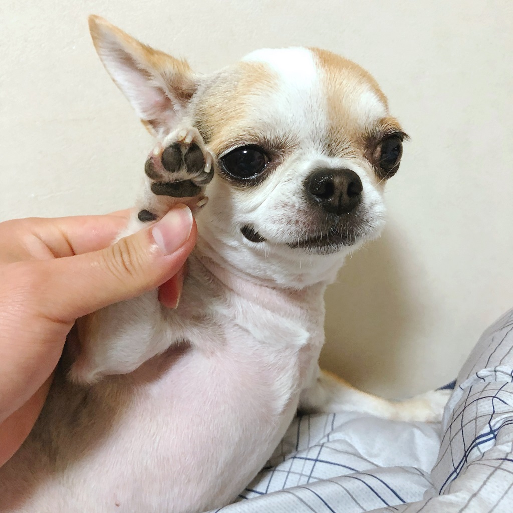 응원하는-사랑이
