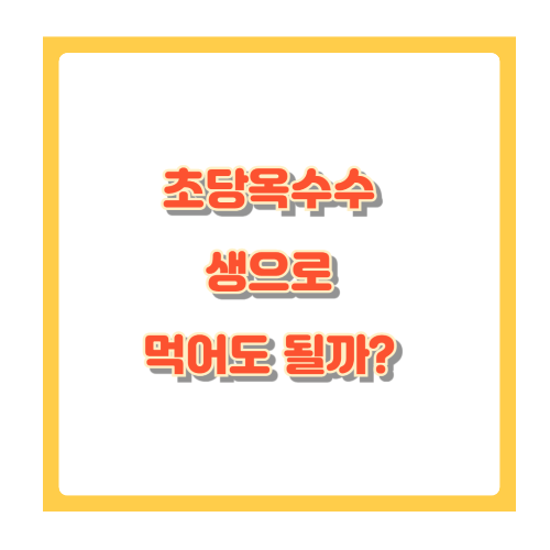 초당옥수수 생으로 먹어도 될까? 안전한 섭취 가이드