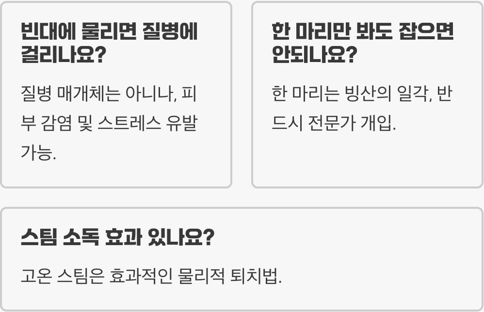 빈대 완벽 종합 가이드 – 원인, 증상, 퇴치법, 예방까지 한눈에