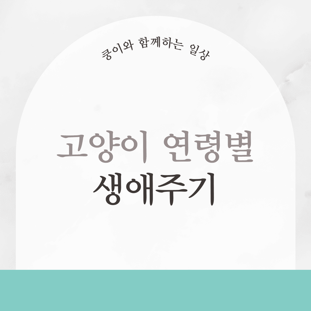 고양이 연령별 생애주기