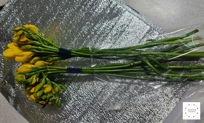 인터넷 꽃 주문-포장지 제거 후 모습