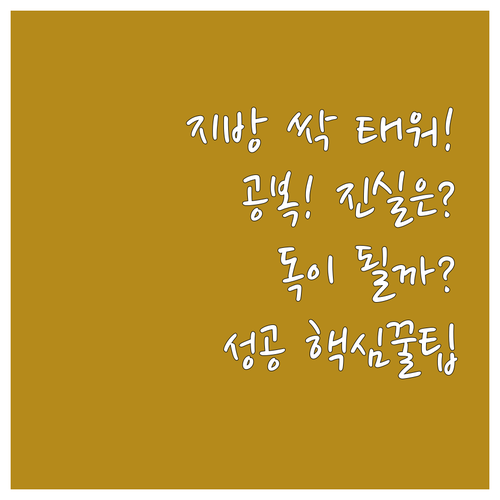 체지방 감량 최대 효율 아침 공복 유..