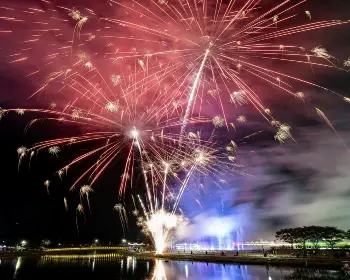 장성 황룡강 가을꽃축제_19