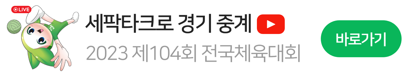 전국체육대회 세팍타크로 마스코트 6