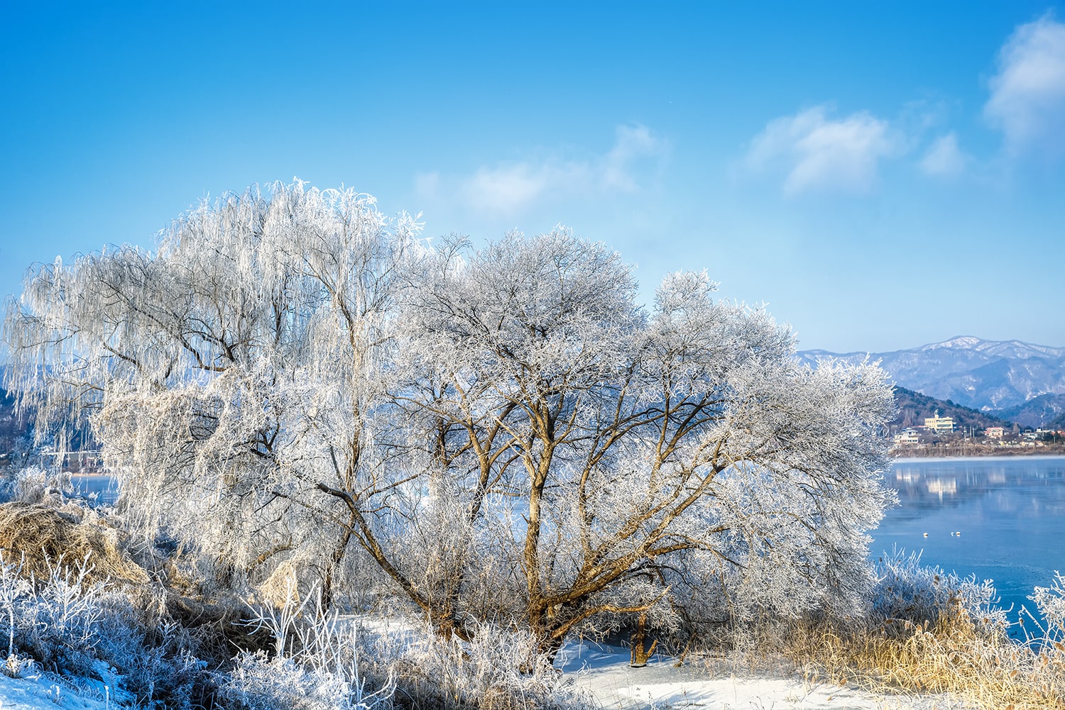 춘천 상고대 명소