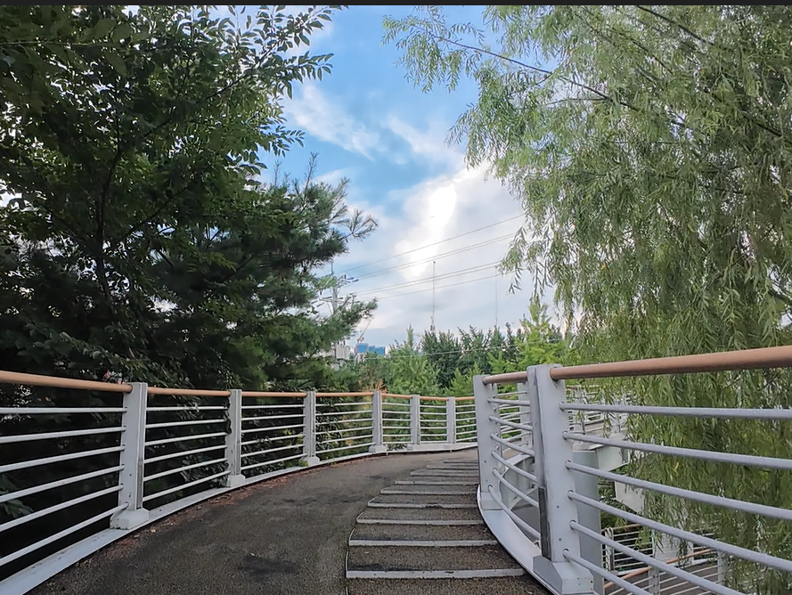 Alt 속성 문제 해결 설명 이미지