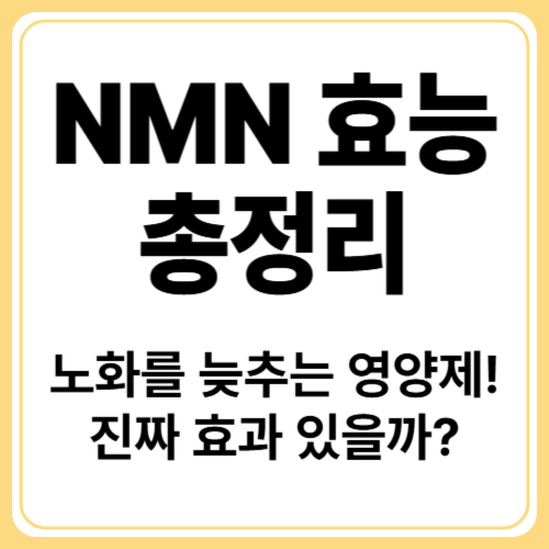 NMN 효능 총정리