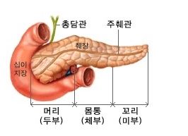CA19-9 수치