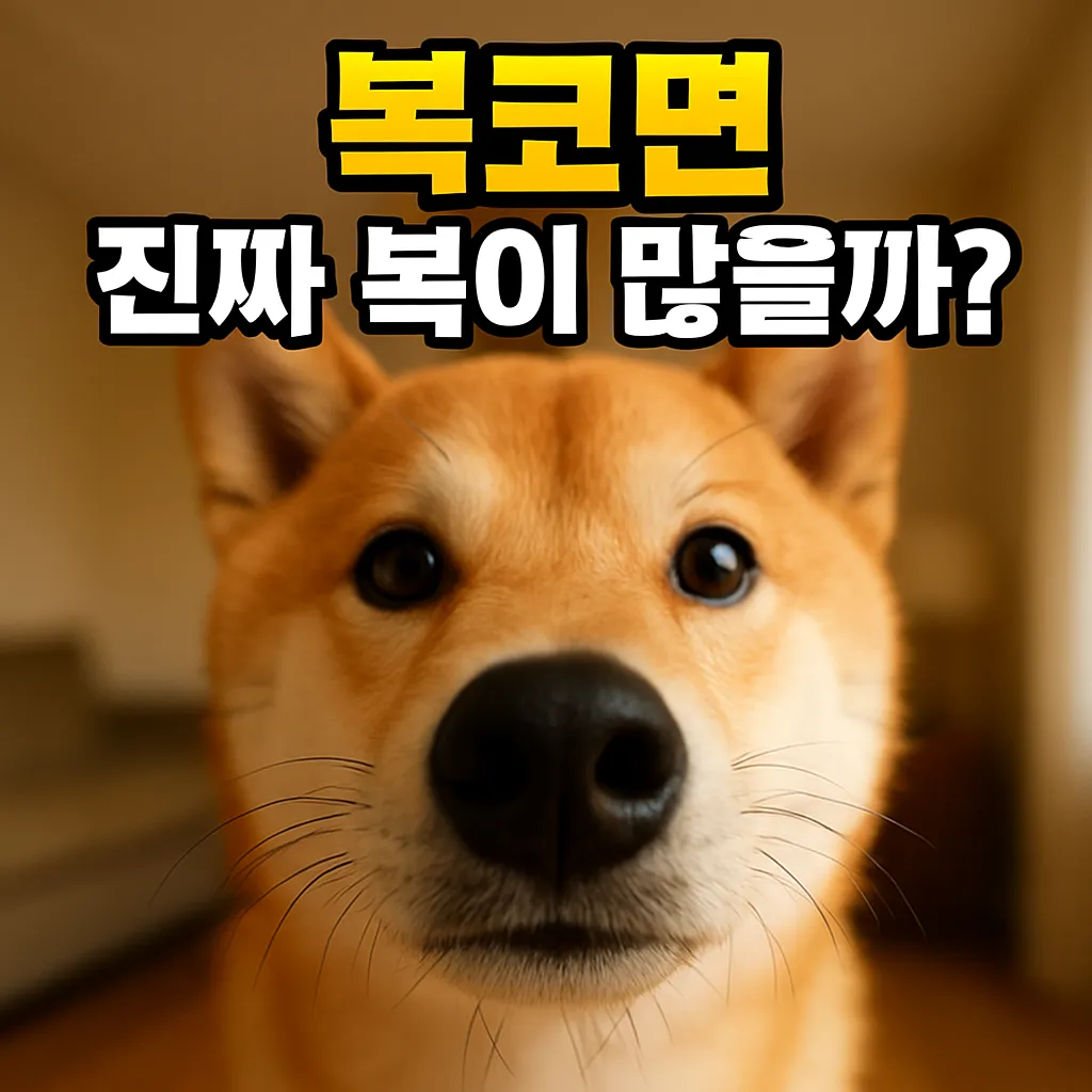 복코면 진짜 복이 많을까? 관상학이 말하는 진실과 오해