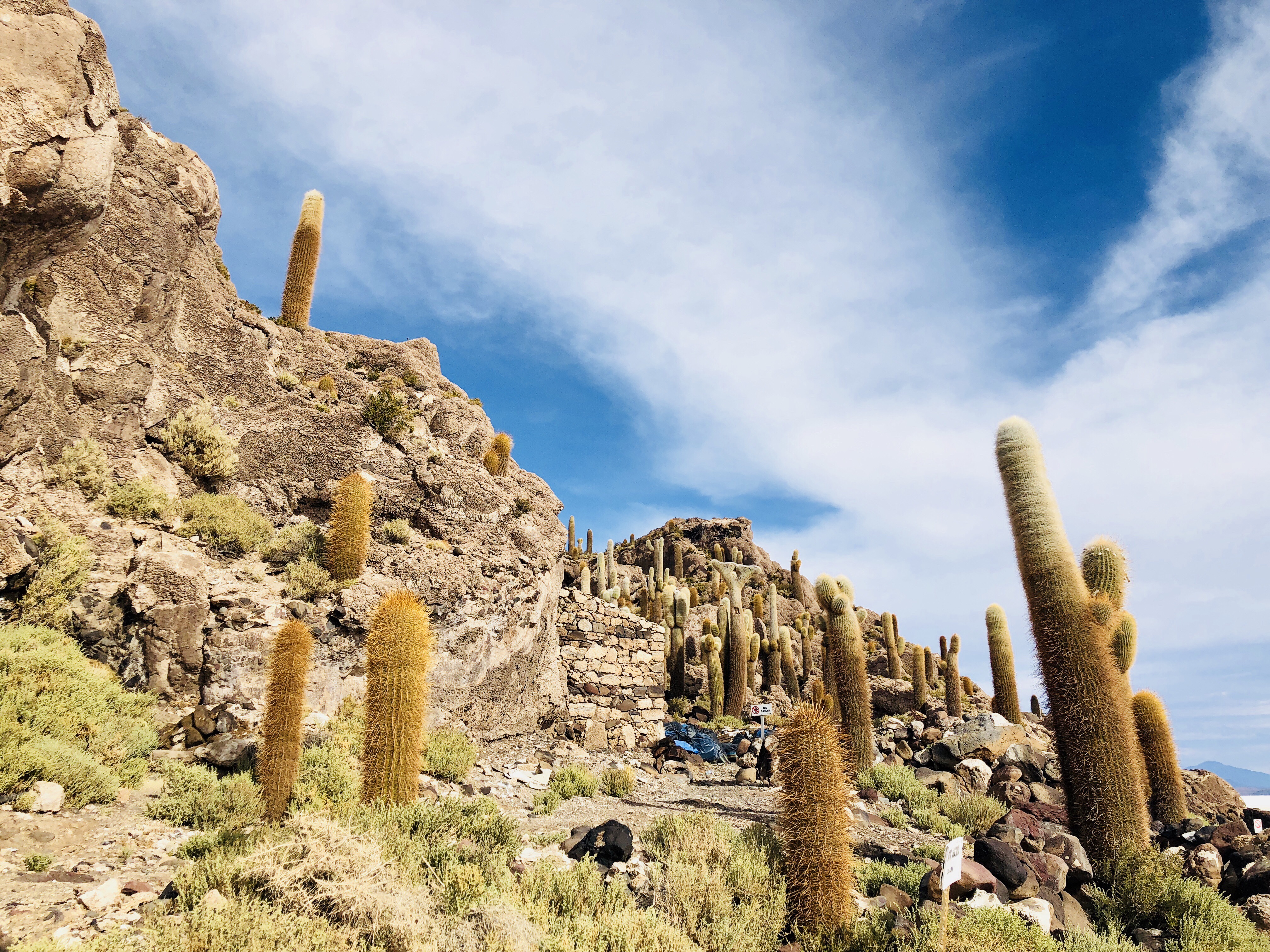 우유니 잉카와시 선인장 섬