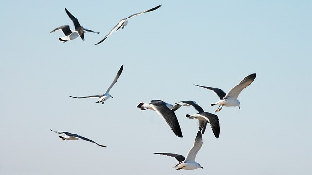 강릉 가볼만한곳 베스트10