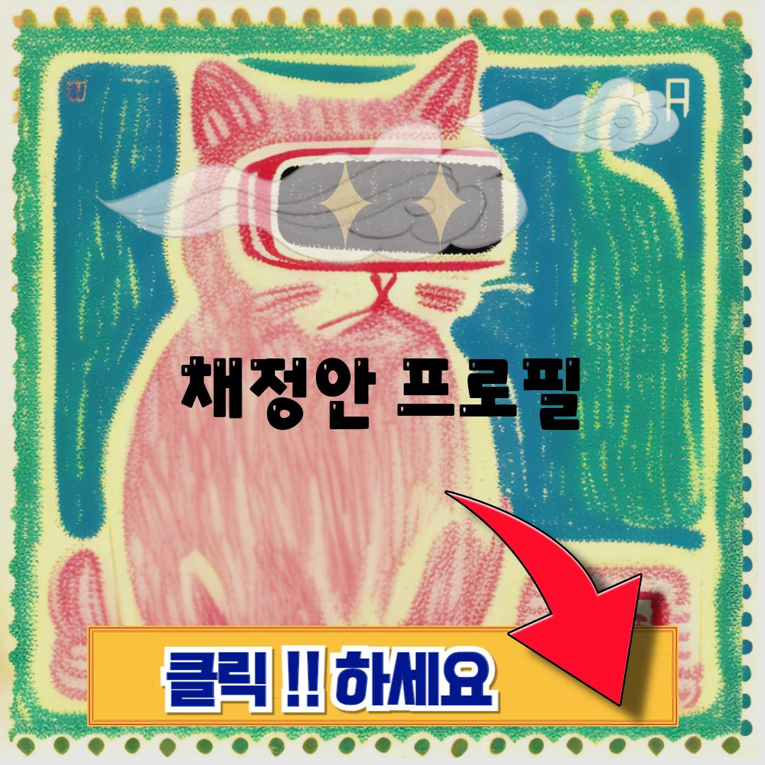 채정안 프로필