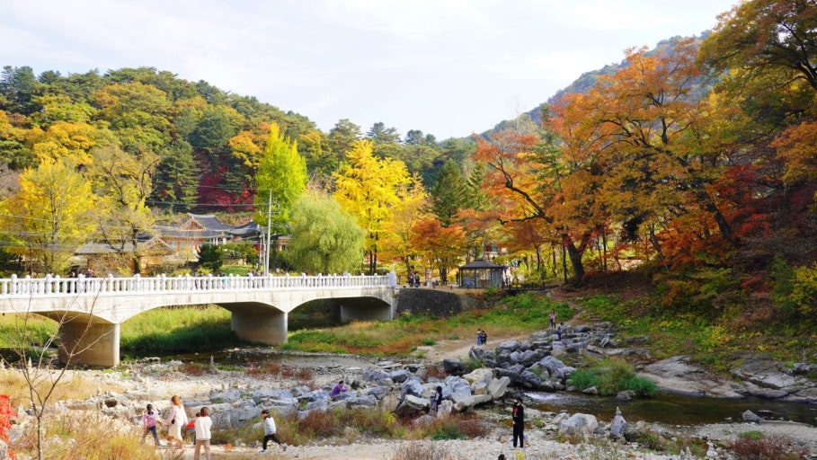 강원도 단풍명소 TOP7 ❘ 가족여행 추천 코스 &amp; 절정시기 정리 관련 사진