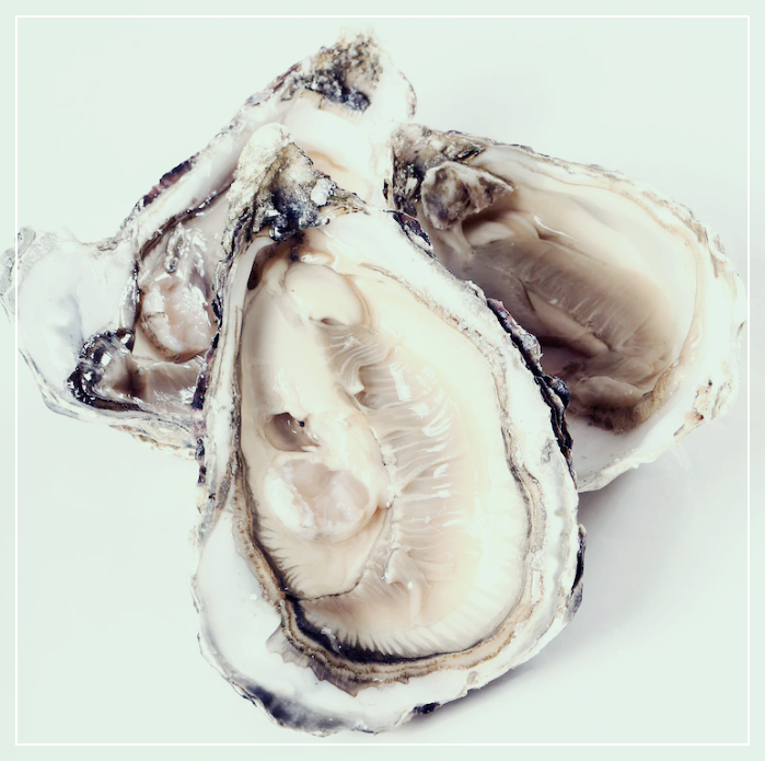 싱싱한 굴