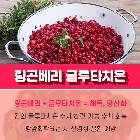 링곤베리 잼