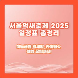 서울억새축제 2025 일정표 총정리｜하늘공원 억새밭, 라이팅쇼, 체험 꿀팁까지!