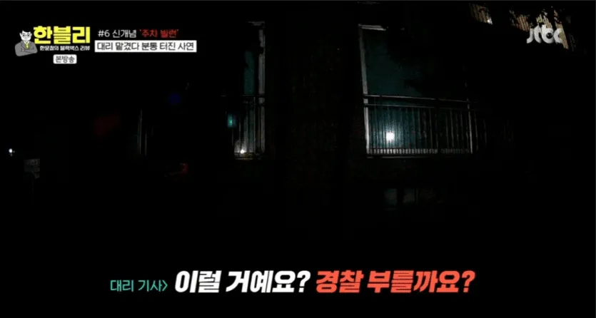 신개념 주차 빌런 대리 기사 21