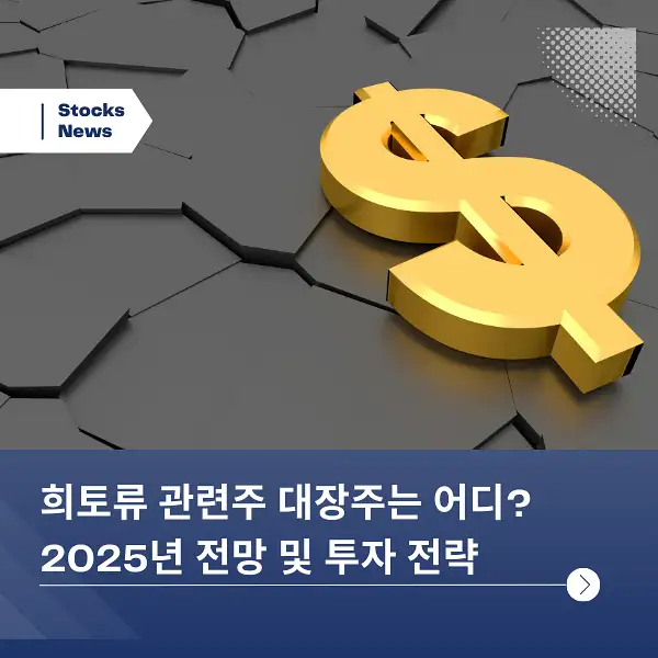 희토류 관련주 대장주