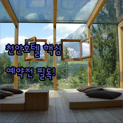 천안 호텔 예약 전 꼭 확인해야 할 ..