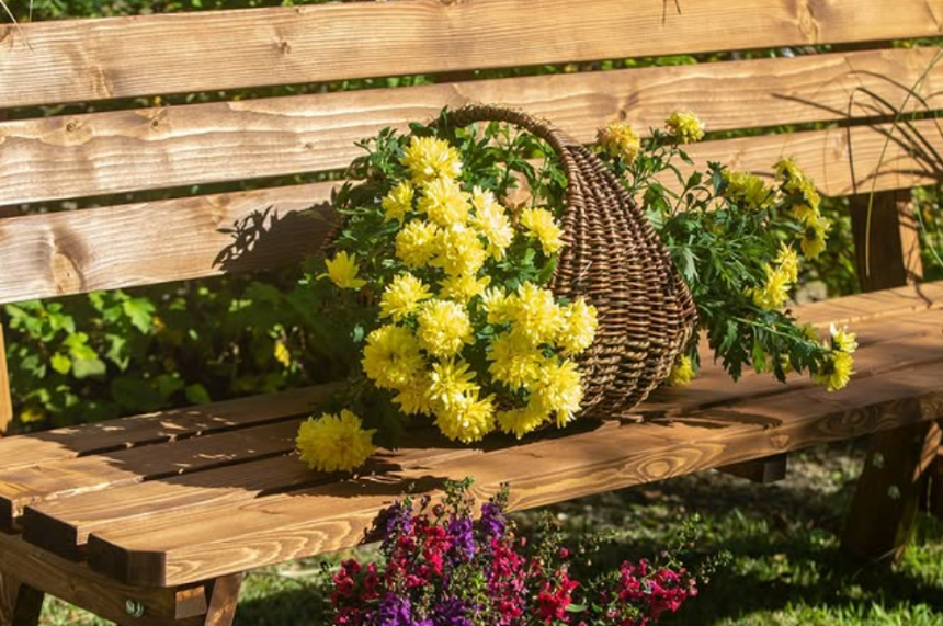 특색있고 아름다운 민간 정원 30선 추천 여행 - 11. 경주 야생화일기 정원