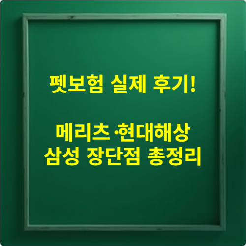 펫보험 실제 후기! 메리츠&middot;현대해상&middot;삼성 장단점 총정리