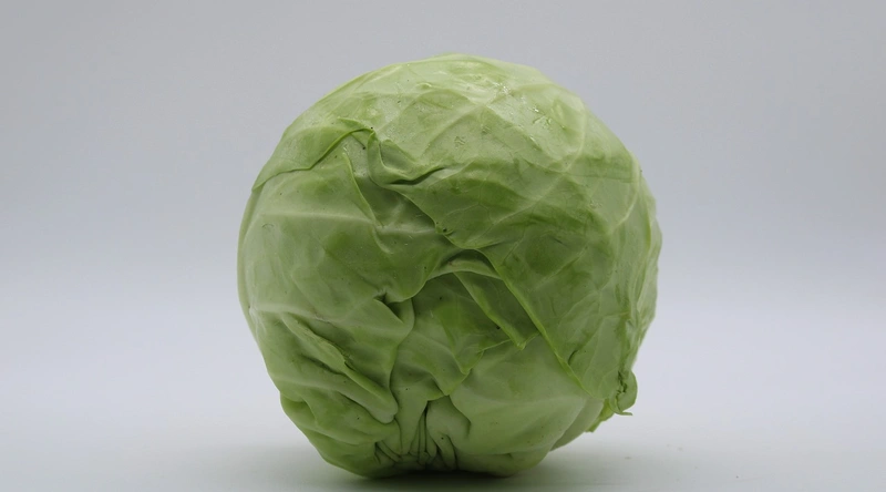 정기 점검의 중요성