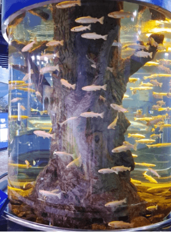 다누리아쿠아리움