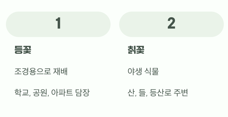 어디서 만날 수 있을까요?