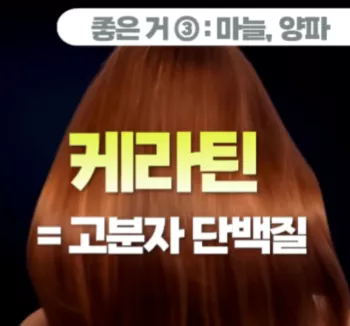 마늘-양파-효능