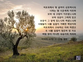 이사야 54장 17절 묵상 - 너를 치려고 제조된 모든 연장이 형통하지 못할 것이라_29