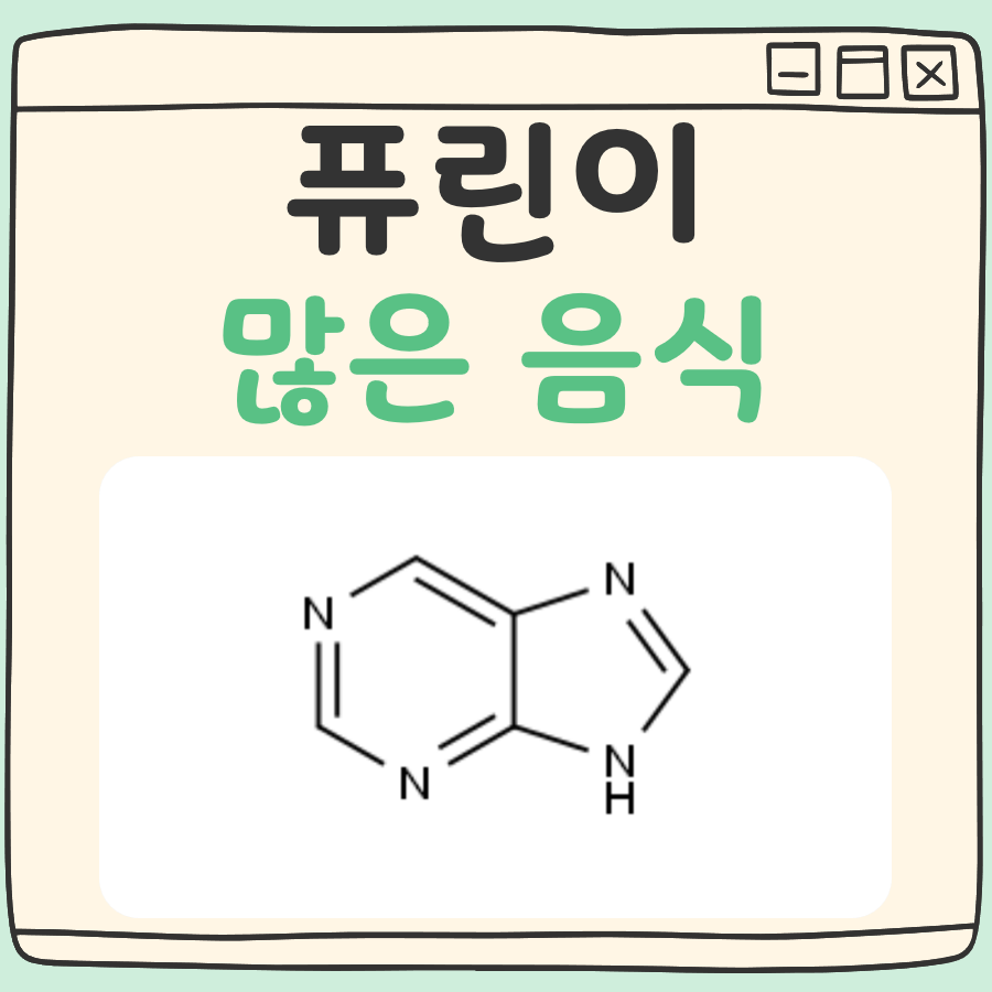퓨린이 많은 음식 정리